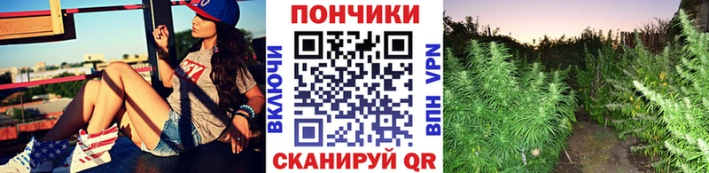 Шишки марихуана гибрид  Павлово 